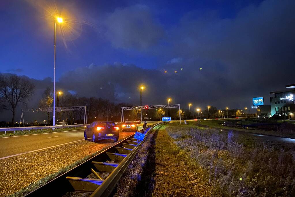 Zwaan aangereden op snelweg