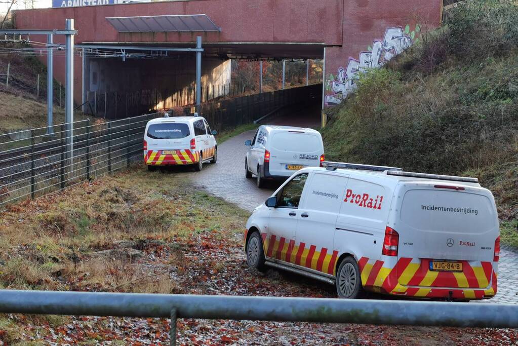 Treinen rijden met lastgeving na aanrijding met dier