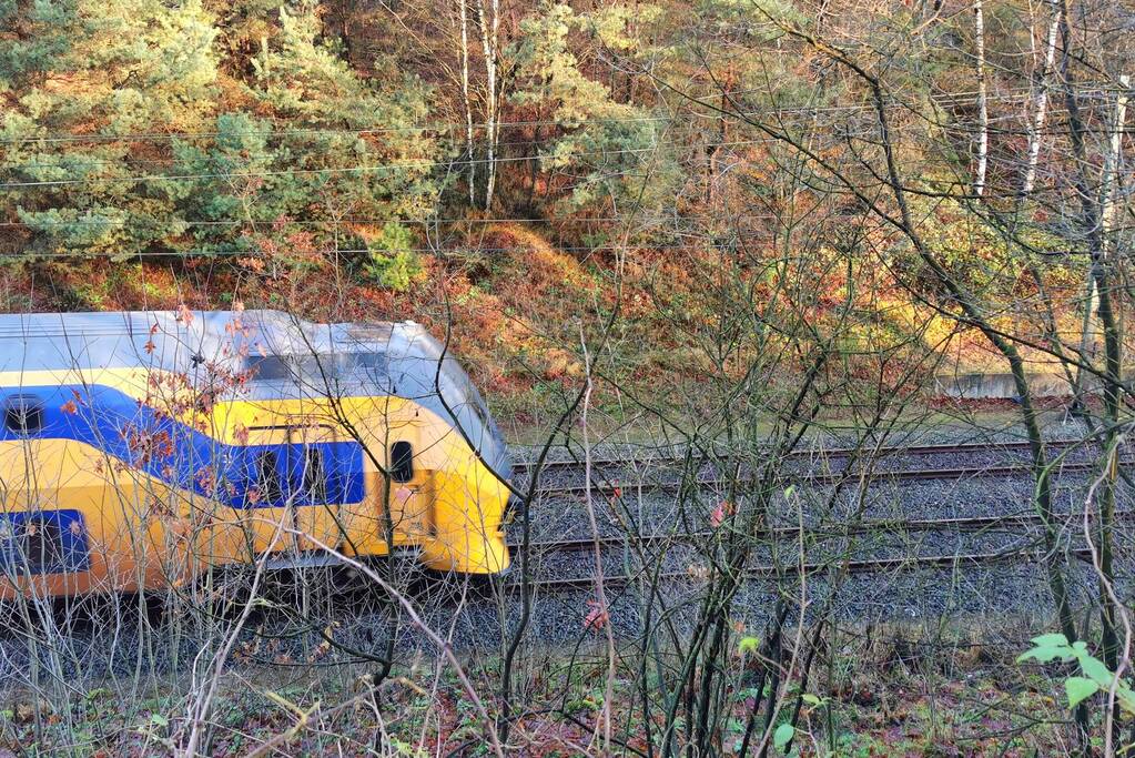 Treinen rijden met lastgeving na aanrijding met dier