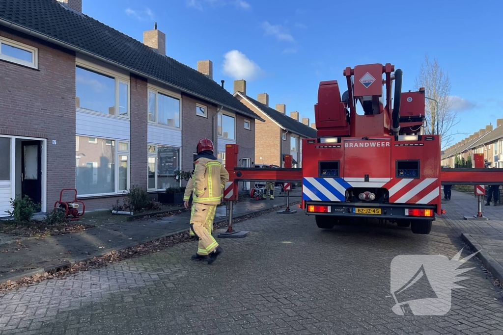 Brandweer blust brand in terrarium