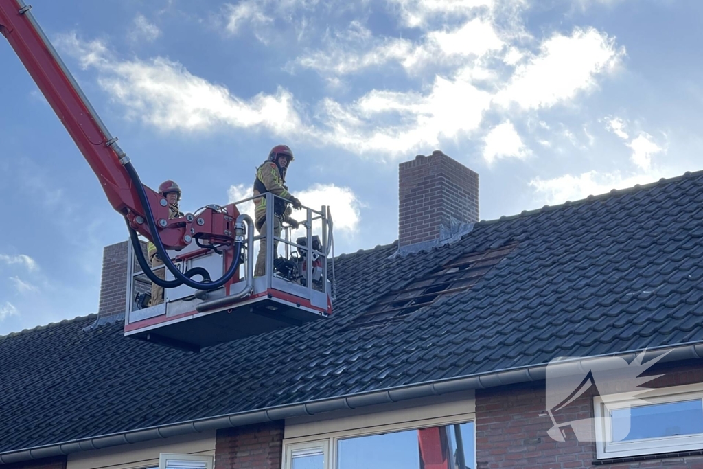 Brandweer blust brand in terrarium