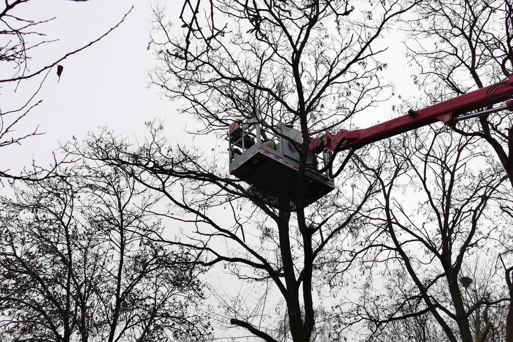 Weg afgesloten door loshangende tak
