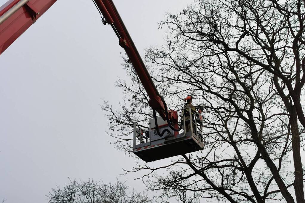 Weg afgesloten door loshangende tak