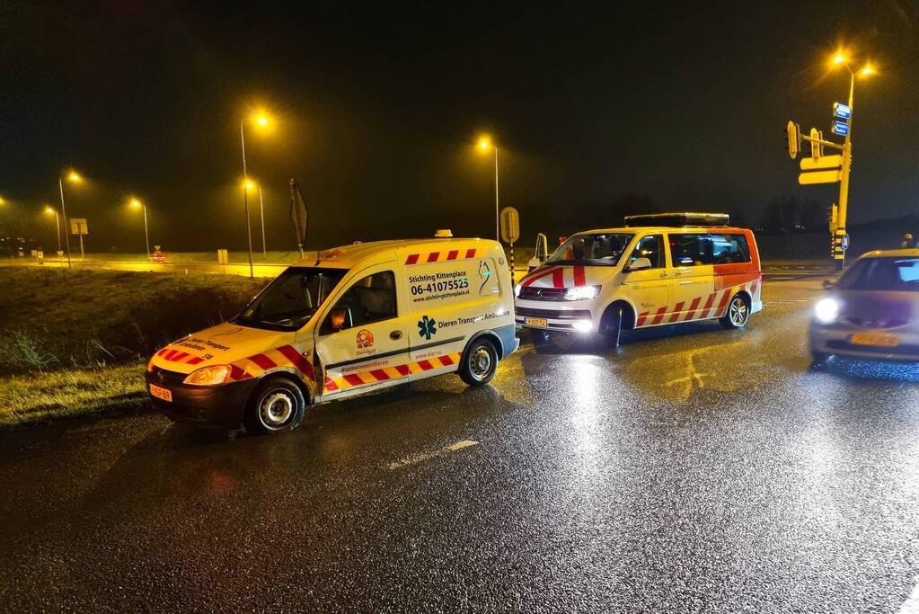 Forse schade na botsing met dierenambulance en personenauto
