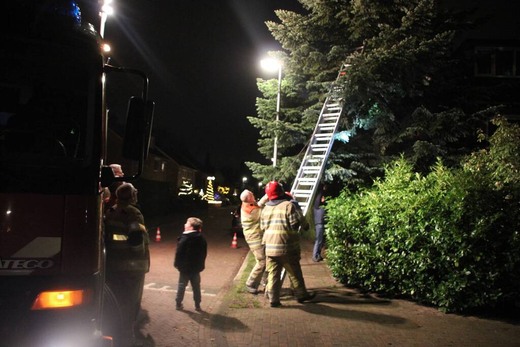 Brandweer laat kat schrikken en vlucht boom uit