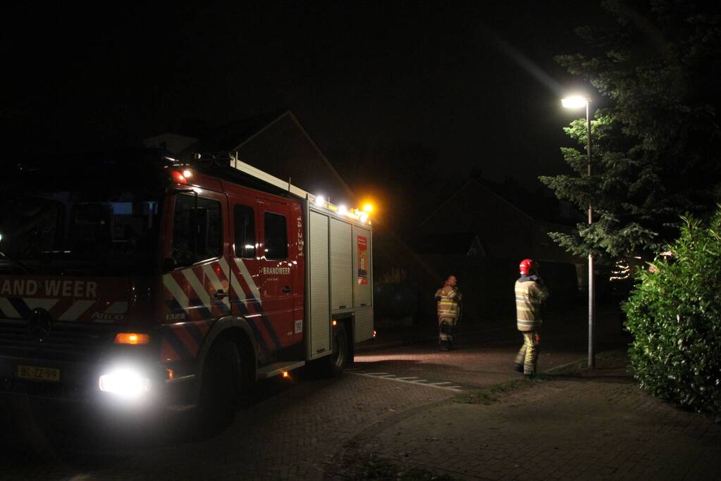 Brandweer laat kat schrikken en vlucht boom uit