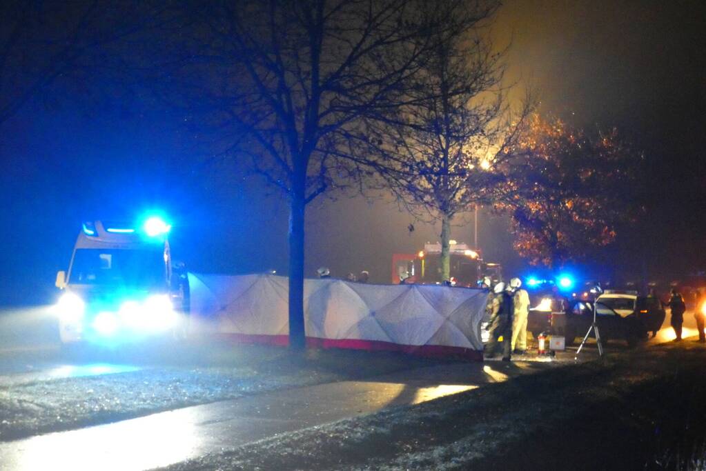 Auto crasht tegen boom