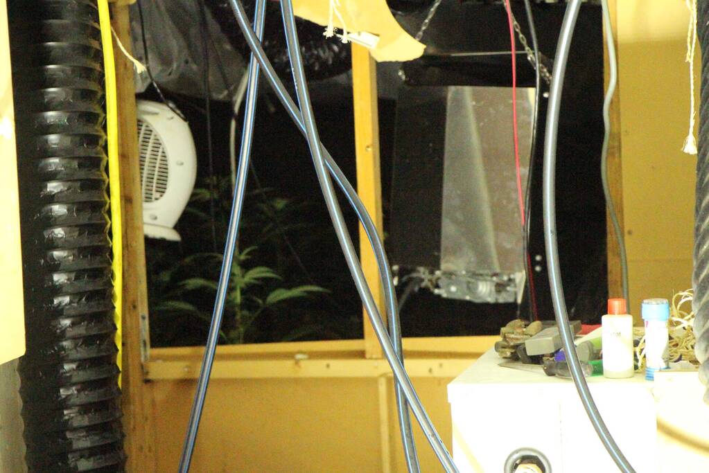 Hennepkwekerij aangetroffen in woning
