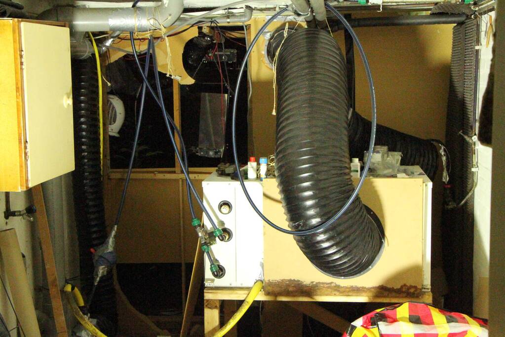 Hennepkwekerij aangetroffen in woning