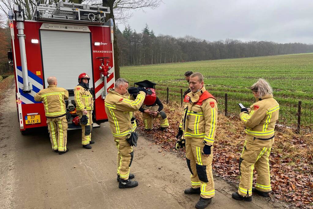 Jong hert vast in hekwerk