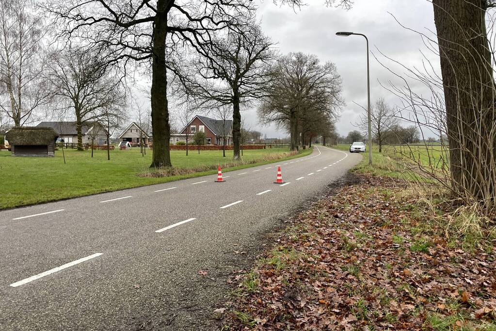 Brandweer redt kat uit een boom