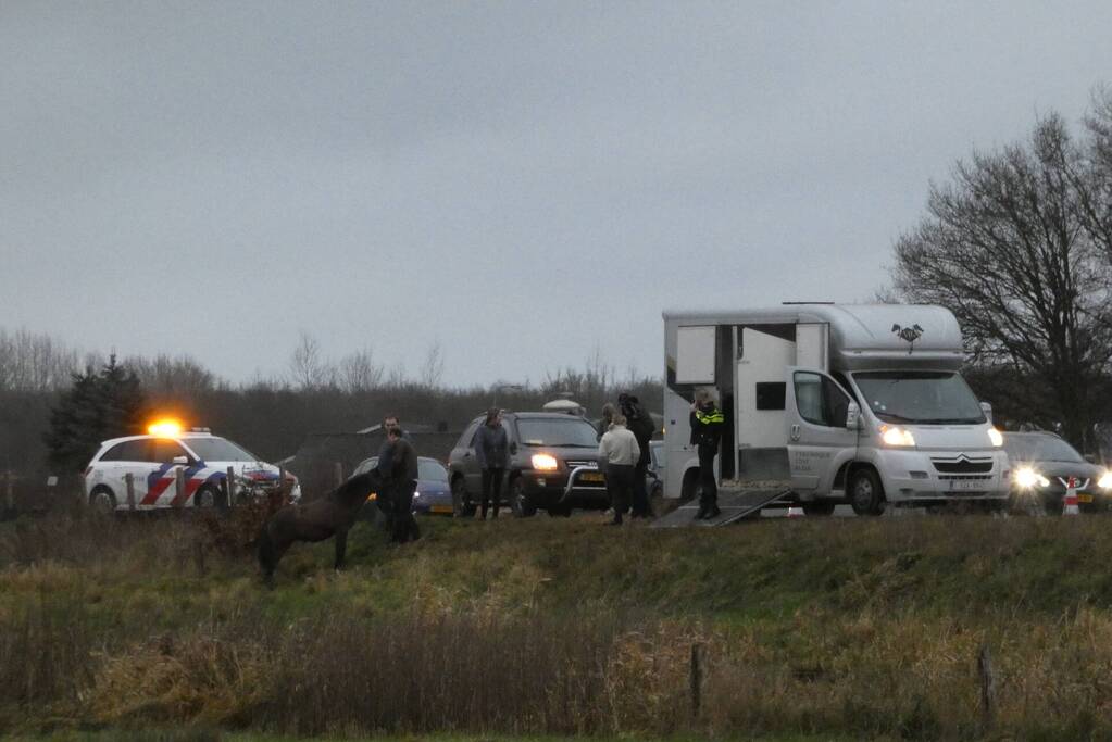 Paard zorgt voor afsluiting van snelweg