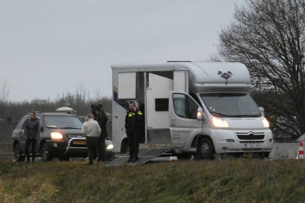 Paard zorgt voor afsluiting van snelweg