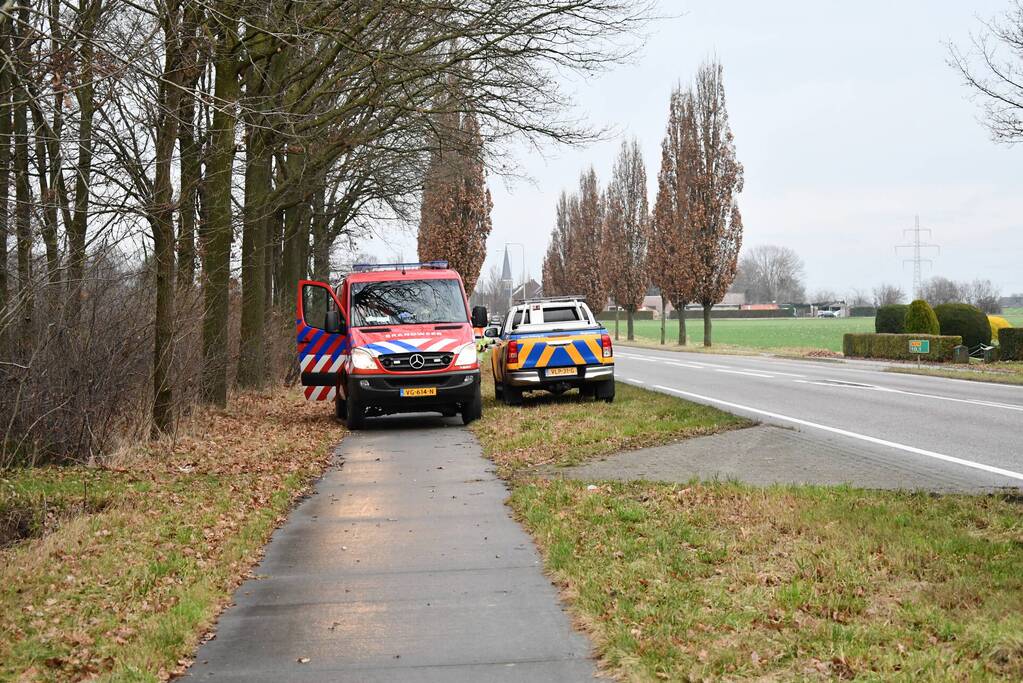 Hulpverleners redden ree uit hekwerk