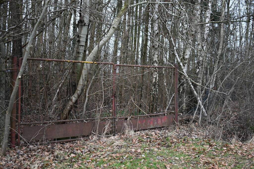 Hulpverleners redden ree uit hekwerk