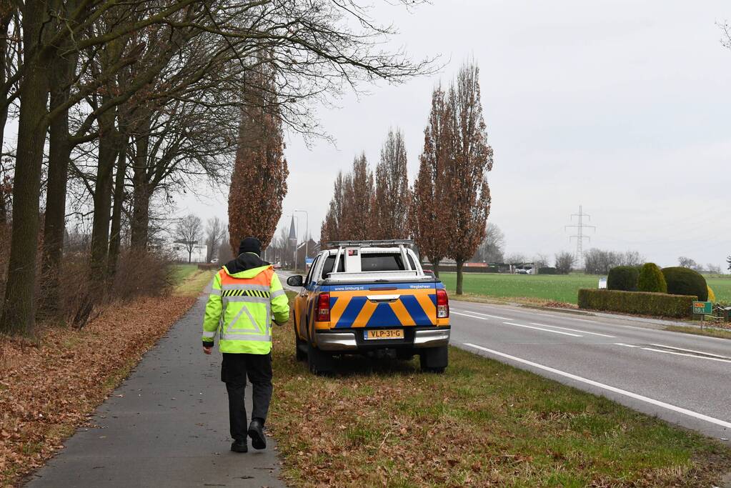 Hulpverleners redden ree uit hekwerk