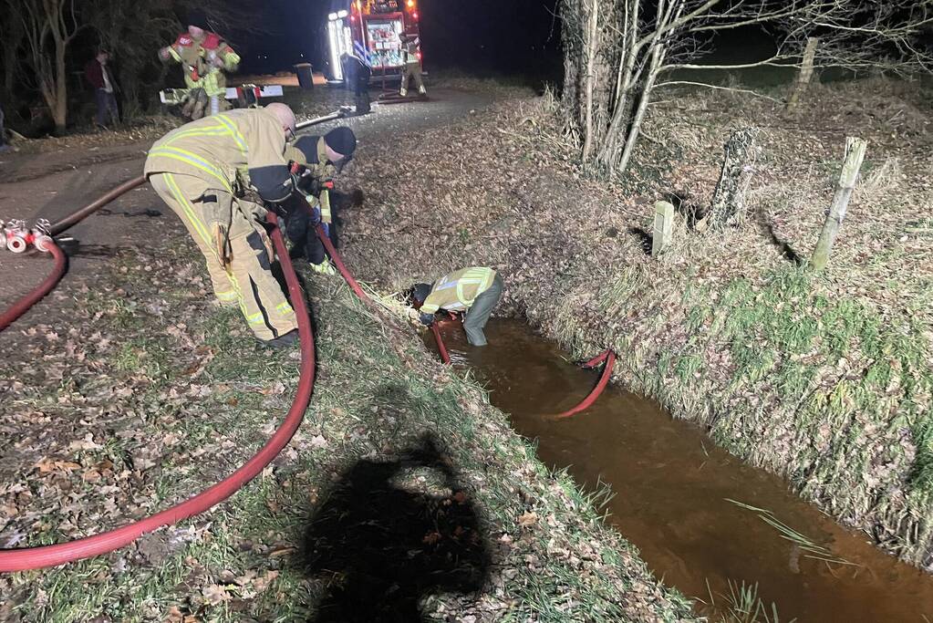 Brandweer bevrijdt hond uit buis