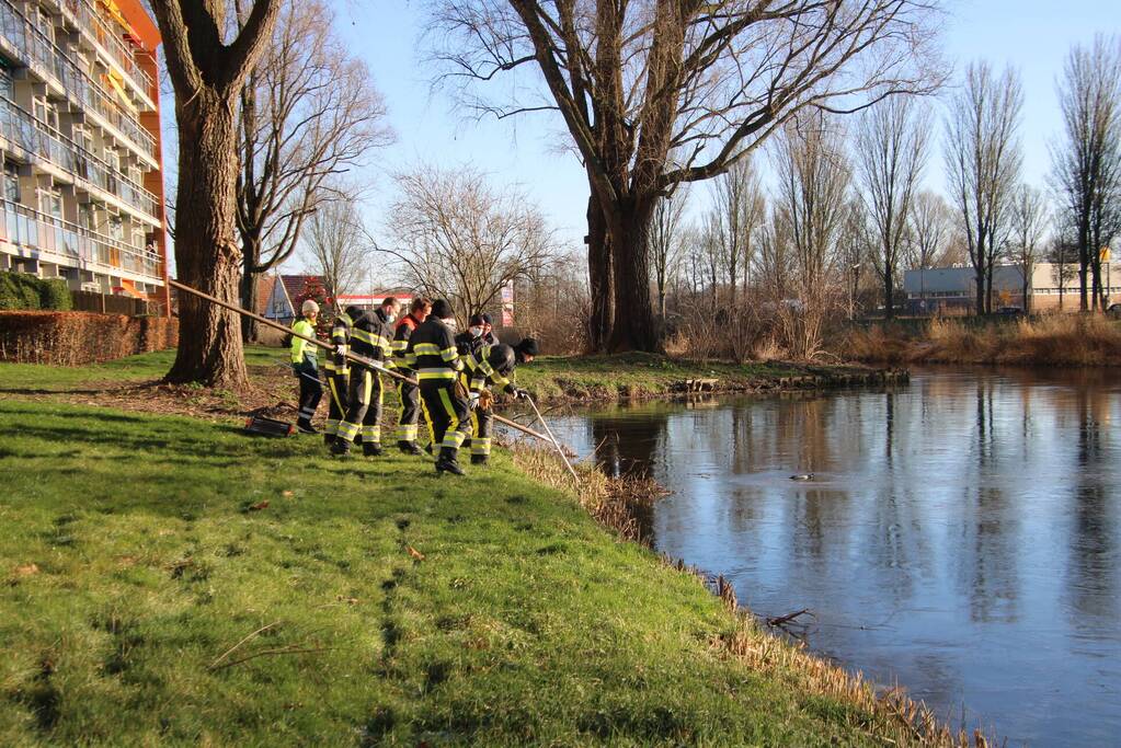 Brandweermannen halen overleden kat uit het water