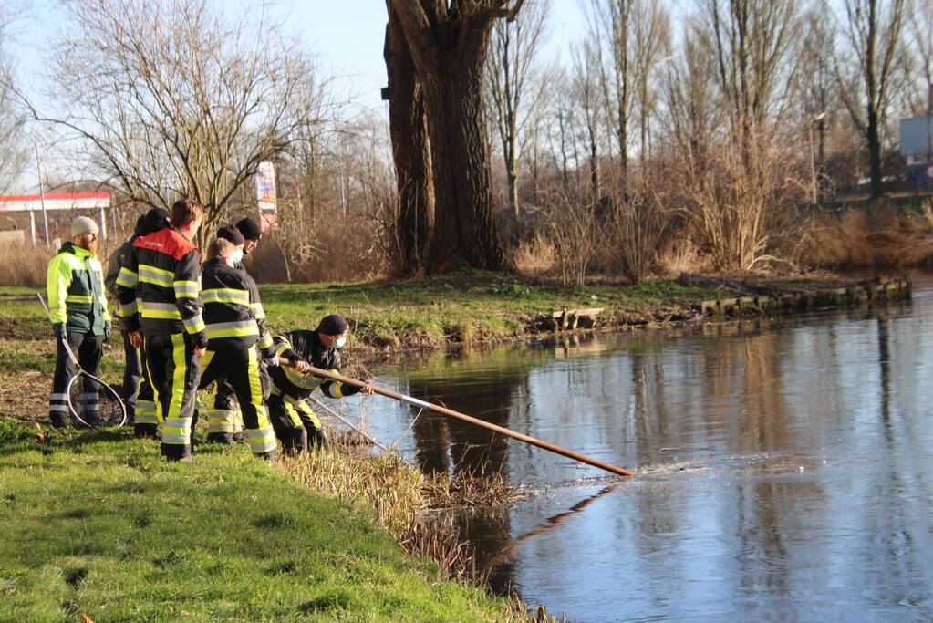 Brandweermannen halen overleden kat uit het water