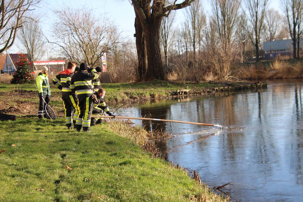 Brandweermannen halen overleden kat uit het water