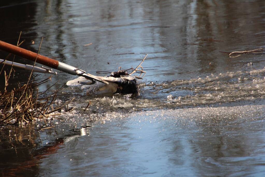 Brandweermannen halen overleden kat uit het water