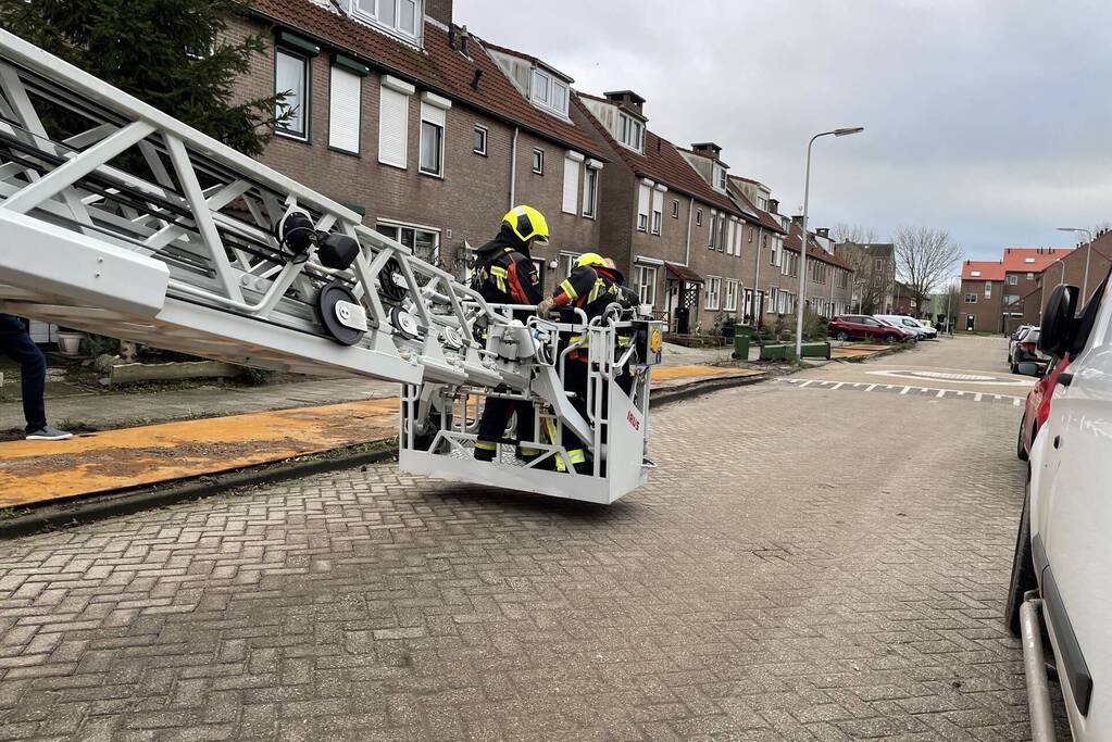 Kat vast op schoorsteen