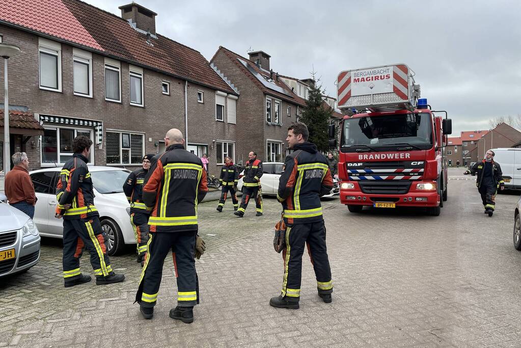 Kat vast op schoorsteen