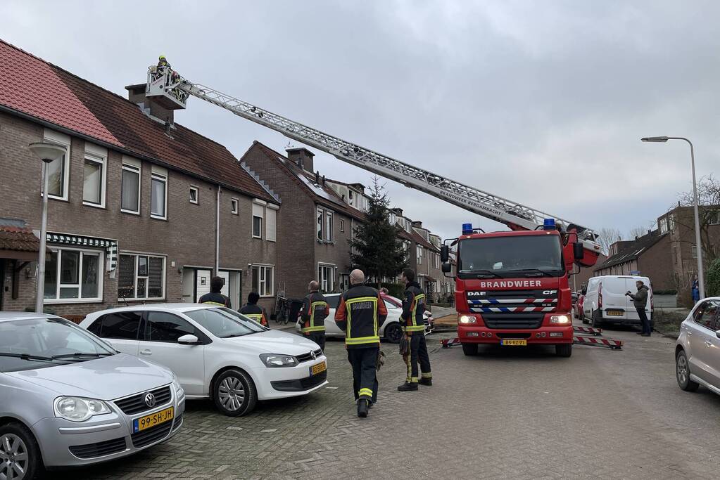 Kat vast op schoorsteen