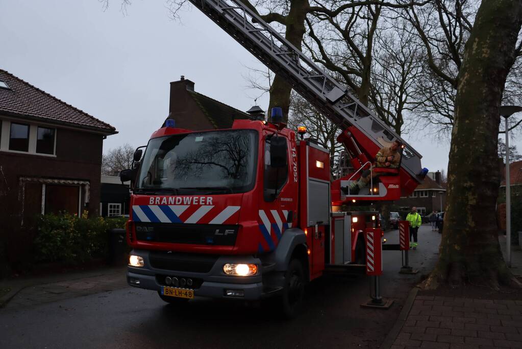 Gevaarlijke hangende tak verwijderd