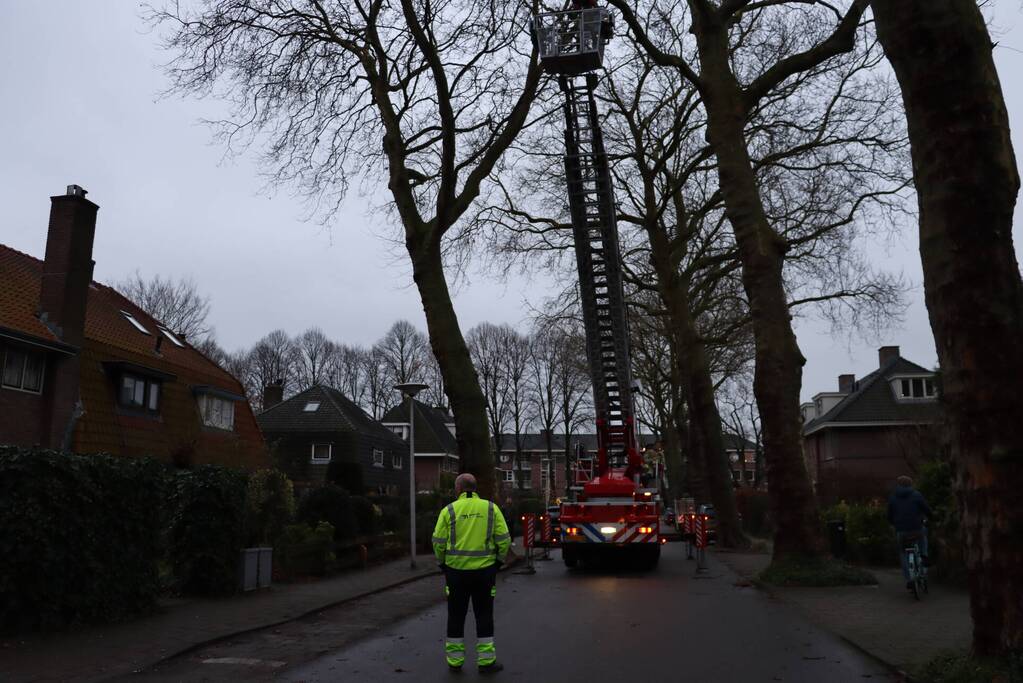 Gevaarlijke hangende tak verwijderd
