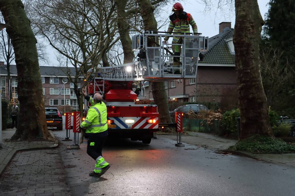 Gevaarlijke hangende tak verwijderd