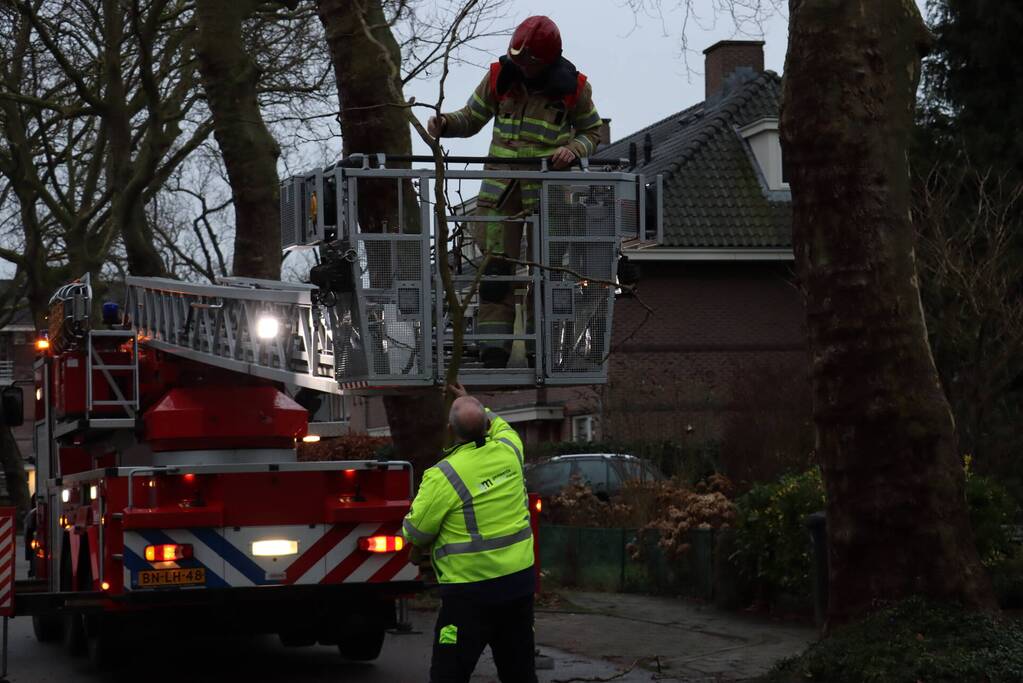 Gevaarlijke hangende tak verwijderd