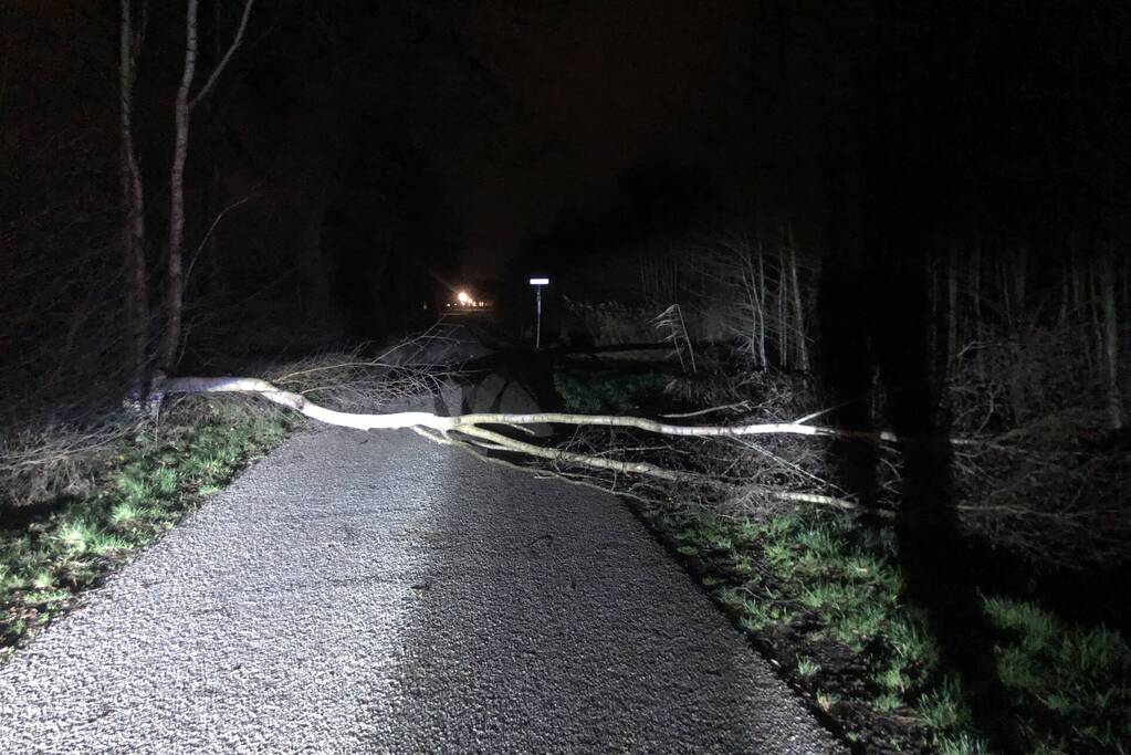 Weg geblokkeerd door omgevallen boom
