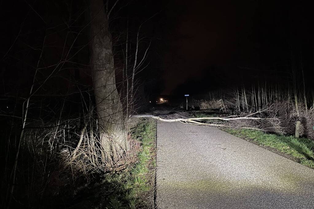 Weg geblokkeerd door omgevallen boom