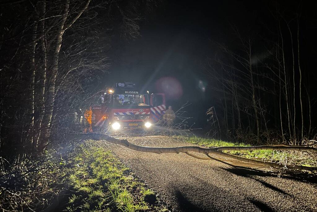 Weg geblokkeerd door omgevallen boom