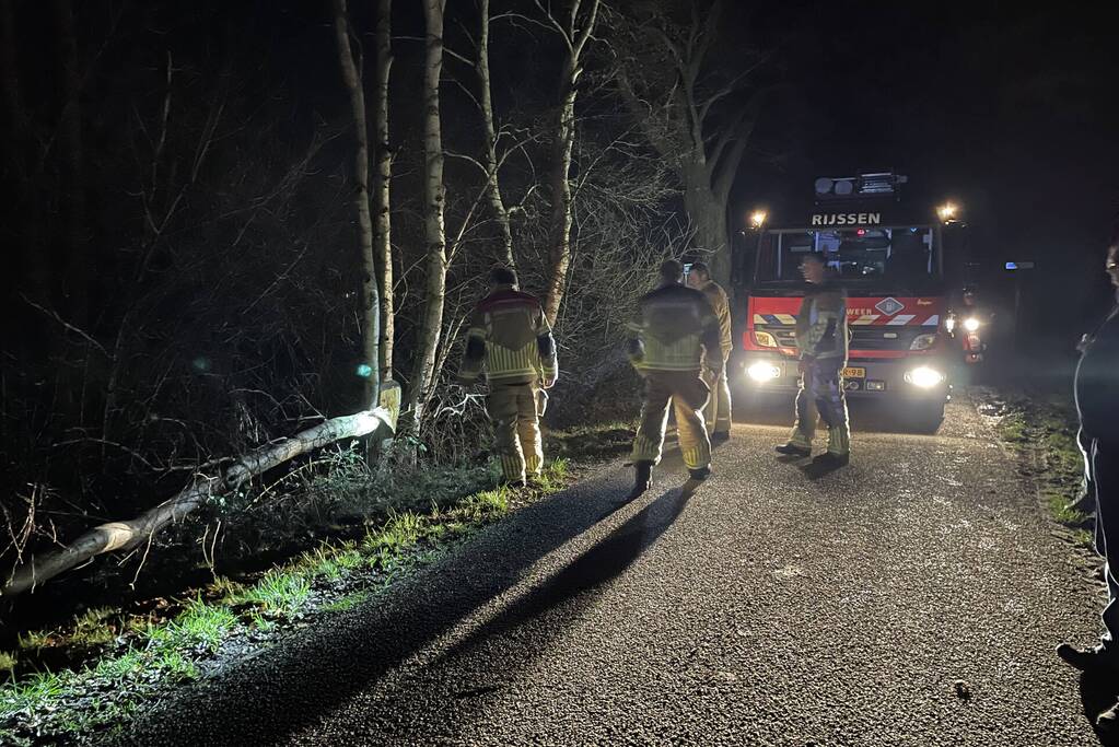 Weg geblokkeerd door omgevallen boom