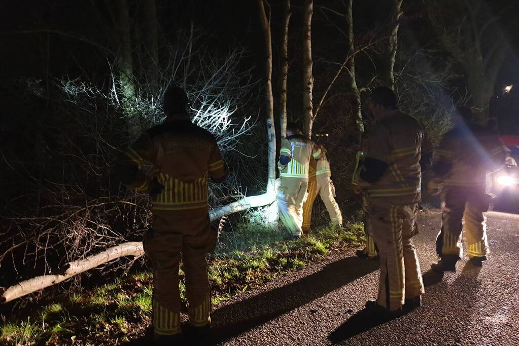 Weg geblokkeerd door omgevallen boom