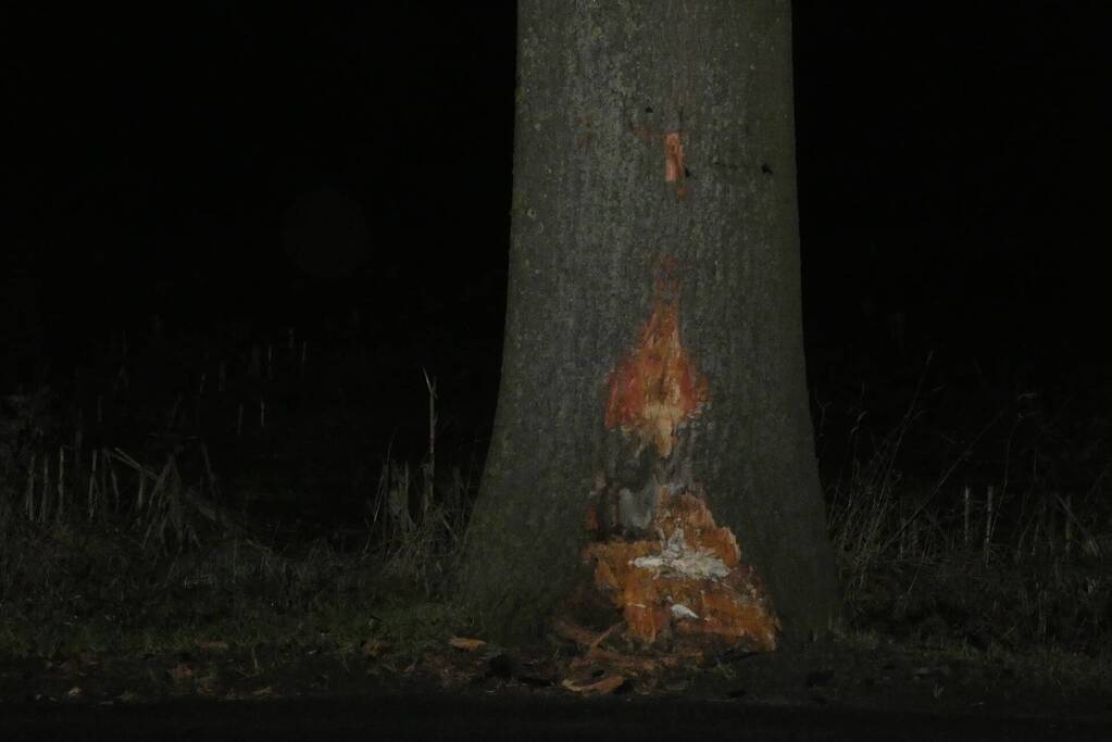 Schade aan bestelbus door botsing tegen boom