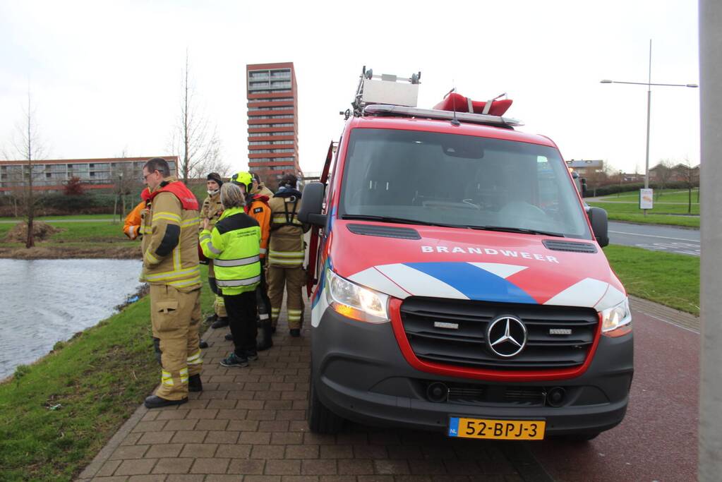 Zwaan met poot vast aan visdraad