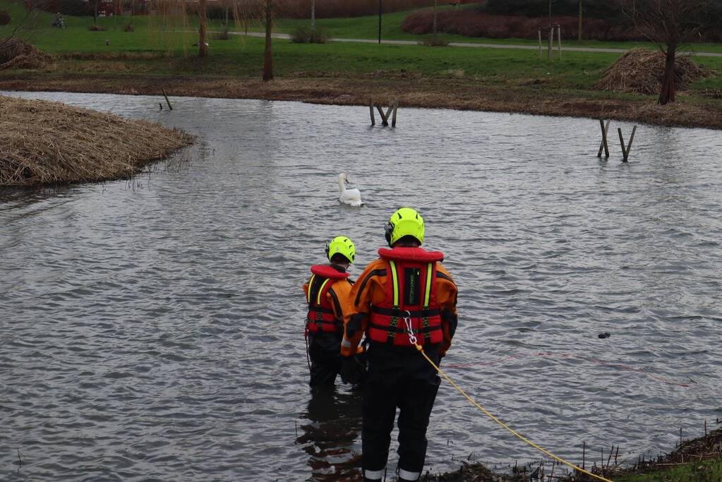 Zwaan met poot vast aan visdraad