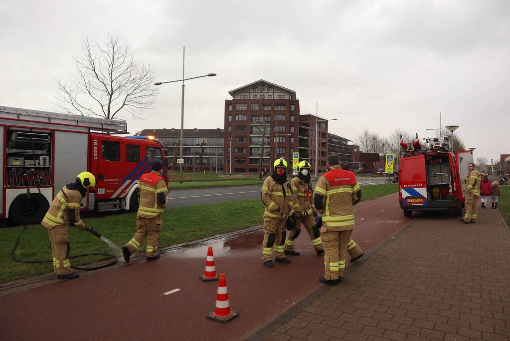 Zwaan met poot vast aan visdraad