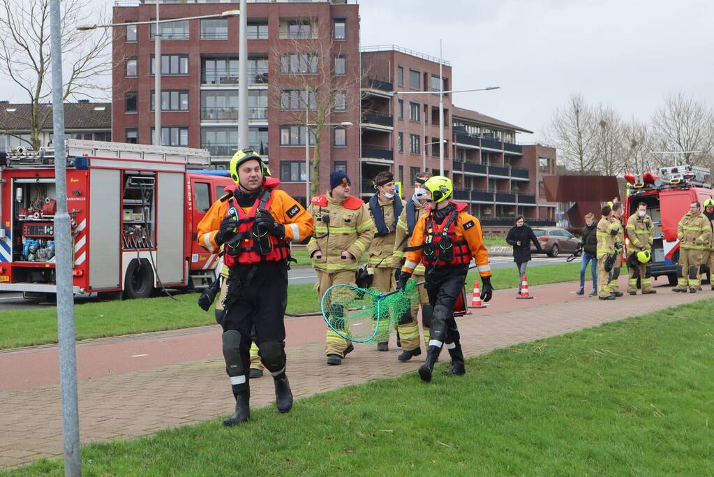 Zwaan met poot vast aan visdraad