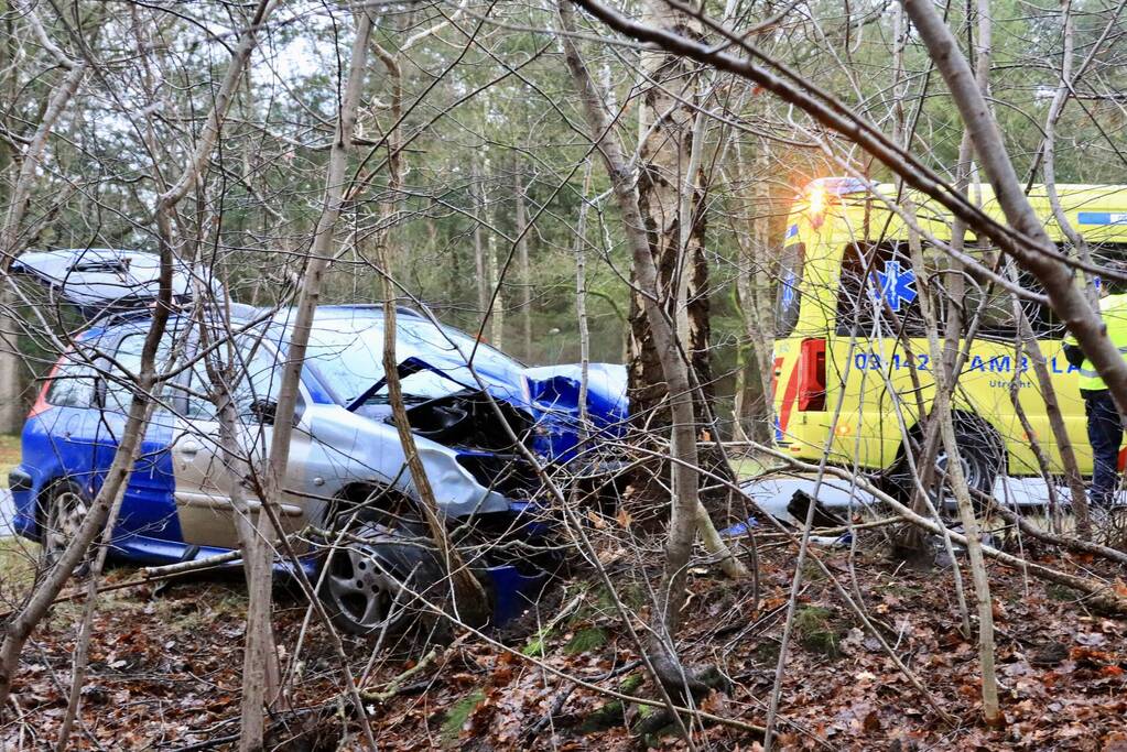 Automobilist raakt van de weg en botst tegen boom