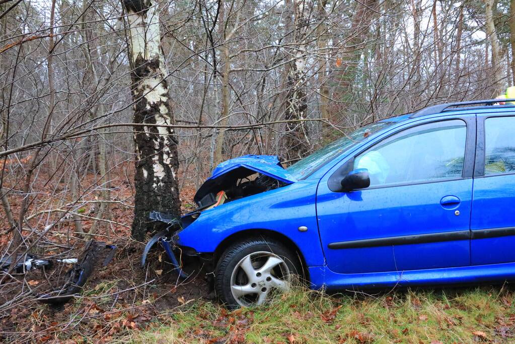 Automobilist raakt van de weg en botst tegen boom