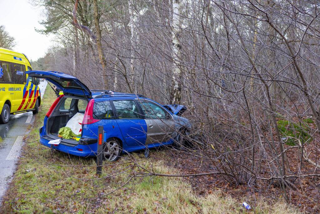 Automobilist raakt van de weg en botst tegen boom