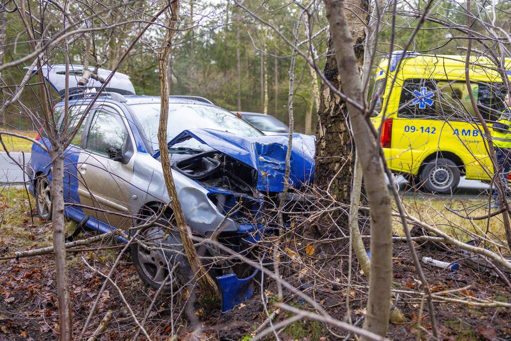 Automobilist raakt van de weg en botst tegen boom