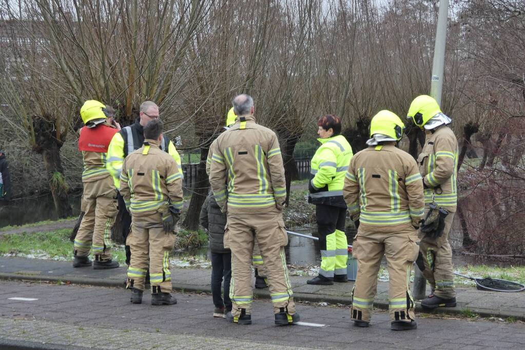 Brandweer redt uil uit boom