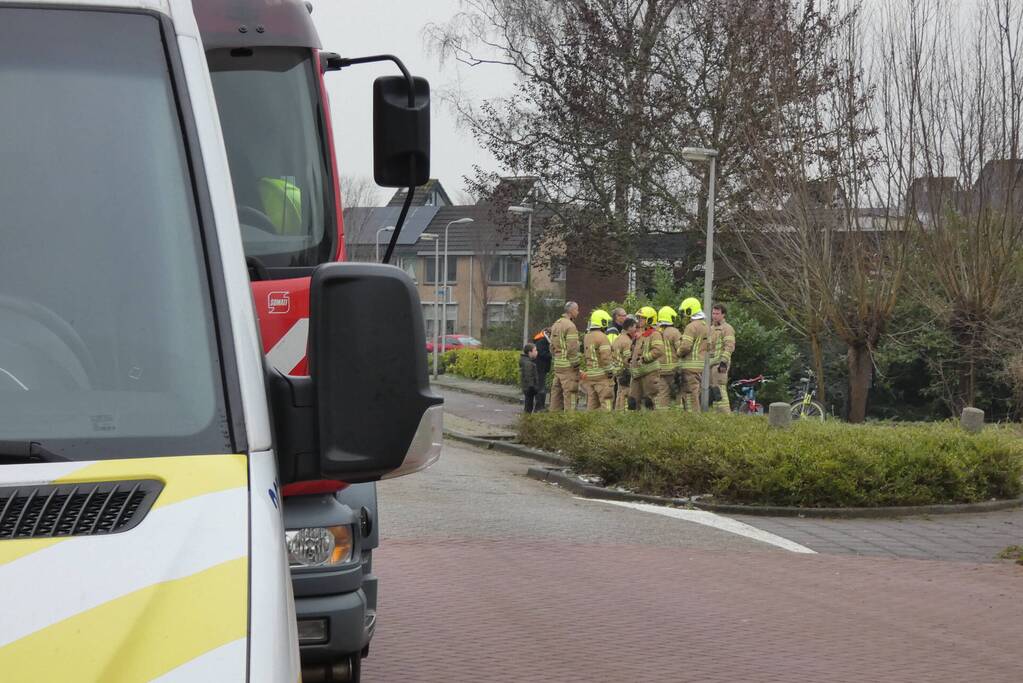 Brandweer redt uil uit boom