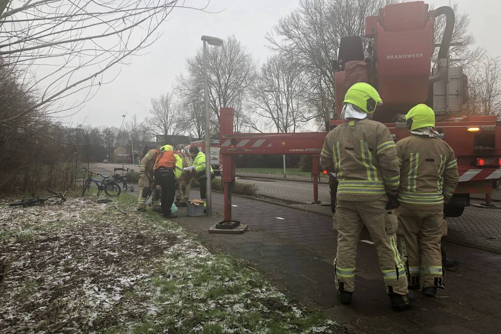 Brandweer redt uil uit boom