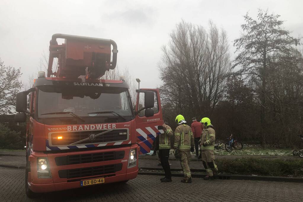 Brandweer redt uil uit boom